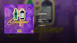 Kash Prez amp Bleezy CYD  Codeine [upl. by Lalib]