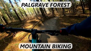 Palgrave mountain biking trails  Ontario  April 2022 [upl. by Nylaret]