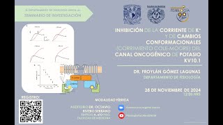 Seminario de Investigación  28 de noviembre de 2024 [upl. by Winfred]