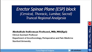 Erector Spinae Plane ESP Block [upl. by Nader114]