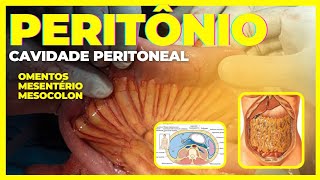 PERITÔNIO cavidade peritoneal omento mesentério e mesocolon [upl. by Melvin]