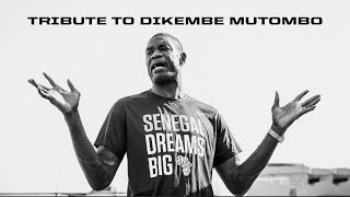 Tribute to Dikembe Mutombo [upl. by Johanna]