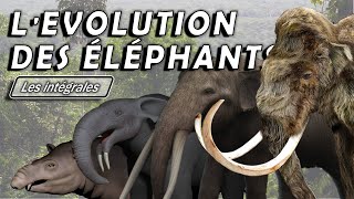 Lévolution des éléphants  Intégrale  Évolution  Paléontologie  Simplex Paléo [upl. by Denver]