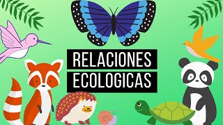 Relaciones Ecológicas [upl. by Sutherlan]