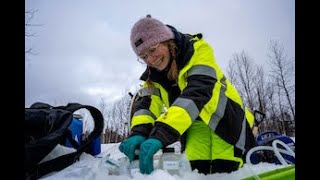 Water sampling at Talgas Vittangi Graphite Project [upl. by Augusto]