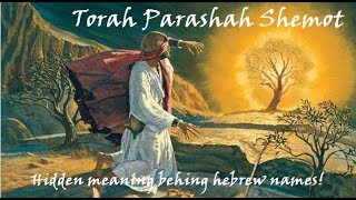 13  Torah Parashah Shemot [upl. by Buskus]