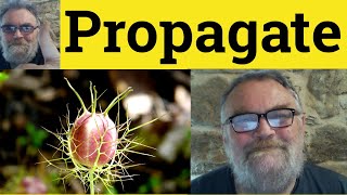 😎 Propagate Meaning  Propagation Defined  Propagate Examples  Propagate Propagation [upl. by Alli]