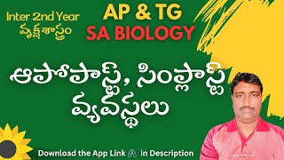 SA BIOLOGY అపోప్లాస్ట్ మరియు సిం ప్లాస్ట్ వ్యవస్థలు DSC [upl. by Nylhsa]