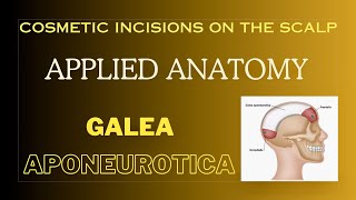 Galea aponeurotica Cosmetic incisions Applied anatomy of scalp [upl. by Tomlin685]