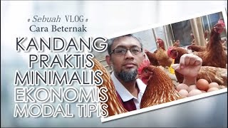 Ternak Ayam Petelur Modal Tipis Ekonomis Minimalis  VLOG [upl. by Horwitz]