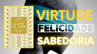 A ARTE DE VIVER  EPICTETO AUDIO LIVRO COMPLETO ESTOICISMO [upl. by Devinne440]