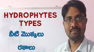 Hydrophytes types class 11 Bhaskars biology [upl. by Ennayoj436]