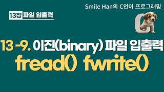 C언어 139  이진binary 파일 가지고 놀기  fread fwrite [upl. by Lauhsoj]