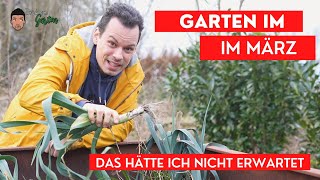 Der Garten im März  Hochbeet Stauden und Bäume ein Rundgang im Grünen [upl. by Ace466]