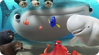 Scene Comparison Finding Nemo VS Finding Dory [upl. by Berkshire855]