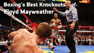 Boxings Best Knockouts of Floyd Mayweather HD [upl. by Olson639]