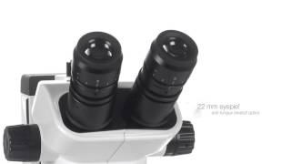 Euromex NexiusZoom Stereo Microscope  The new standard in stereo microscopy [upl. by Yromas]