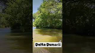 Delta Dunarii călătorii travel descoperaromania vacanta romania [upl. by Jamil]