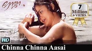 Chinna Chinna Aasai  A R Rahman  Madhoo  Roja 1992  Tamil Video Song [upl. by Acemaj848]