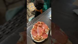 ピッツェリアティンタレッラ PizzeriaTintarella pizzeria ピザ屋 ナポリ 犬と行ける店 柏グルメ トイプードル 黒トイプードル [upl. by Keen]