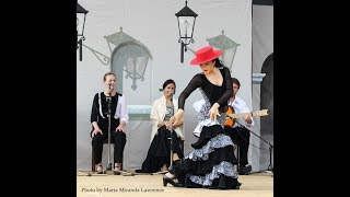 Garrotín Solo at the 2015 Victoria Flamenco Festival [upl. by Heffron]