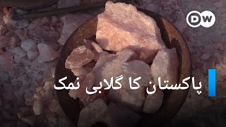 پاکستان کا گلابی نمک  Himalayan salt  DWURDU [upl. by Eniarral737]