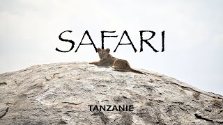 SAFARI TANZANIE 🇹🇿  WANYAMA FILM  SERENGETI  NGORONGORO  TANRANGIRE  MANYARA [upl. by Mcgrody736]