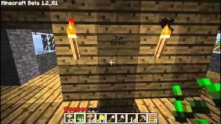 Unser Minecraft Dorf Multiplayer [upl. by Josselyn]