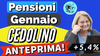 PENSIONI 👉 ANTEPRIMA CEDOLINO GENNAIO CON AUMENTI e altro❗️Ecco cosa conterrà [upl. by Stucker]