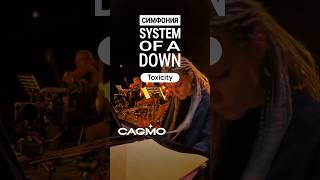 System of a Down Symphony  Toxicity  CAGMO cagmo orchestra soad toxicity instrumental [upl. by Cirred714]