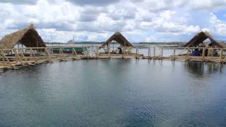 ALMASOR The Bamboo Pods at Panumbagan Sandbar in Pilar Sorsogon [upl. by Llekcm]