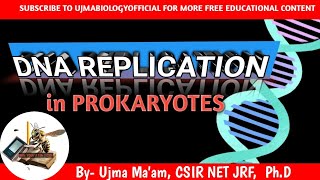 DNA REPLICATION in prokaryotes molecular biology molecular inheritance  CSIR NET LIFE SCIENC [upl. by Suiravaj585]