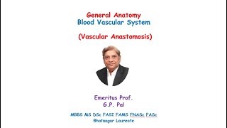 IN HINDI Vascular anastomosis [upl. by Rasla202]