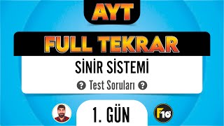 Sinir Sistemi Test Soruları AYT Full Tekrar Biyoloji F10 Serisi [upl. by Santos]