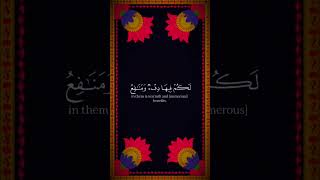 Quran e pak Sheikh yasir al dossary [upl. by Veneaux]