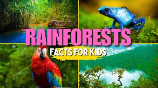 Learn All About Rainforests Facts for Kids [upl. by Airyt]