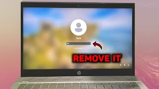 How to Remove Signin PINPASSWORD on Windows 11 [upl. by Jerusalem263]