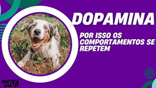 DOPAMINA no adestramento de cães [upl. by Garbe]