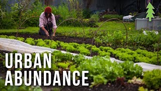 Organic Urban Farming on a 12Acre Property  Urban Abundance [upl. by Kania959]