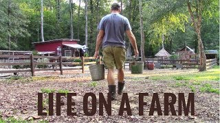 Life On A Farm  Morning amp Evening Chores  Our Daily Homestead Routine [upl. by Neyut]