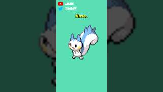 Shiny Stories  The Little Pachirisu That Could jaeaik pachirisu pokemon shinypokemon [upl. by Melly512]