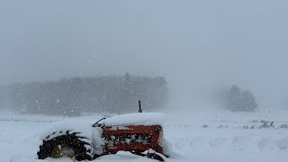 More Snow  Plowing Snow with the Backhoe [upl. by Ibib]