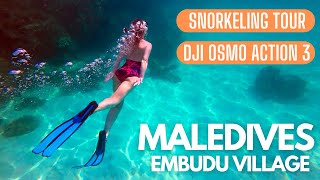 Maledives  Embudu Village  Snorkeling Tour [upl. by Ahsocin]