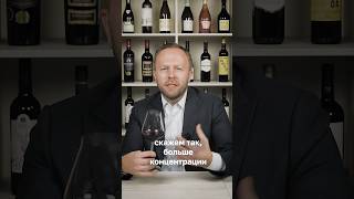 Дегустируем итальянское вино Othonis Negroamaro Salento IGT wine sommelier [upl. by Clark284]