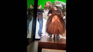 HAGRIDS HEAD ANIMATRONIC Hikarivlog [upl. by Keligot]