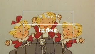 Les triplés  La fleur [upl. by Nilcaj531]