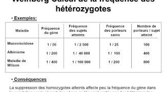 GENETIQUE Génétique des populations [upl. by Campman573]