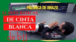 Llaves y finalizaciones que todo cinta blanca de Jiu Jitsu brasileño debería aprender [upl. by Pentha747]