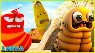 Larva Animation New Episodes 2025  Comics   Best Cartoons 2025  Comics  Cartoon Compilation [upl. by Draned520]