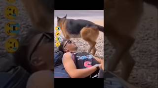 Amazing funny video🤣🤣trending youtubeshortsviralvideo funnyfunnyvideo facebook funny funny [upl. by Ayhay]